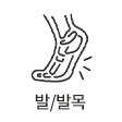 발·발목
